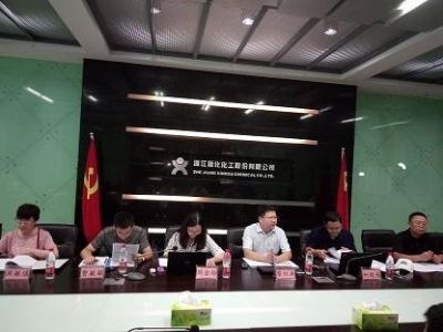 pp电子化工通过“浙江制造”认证现场评审