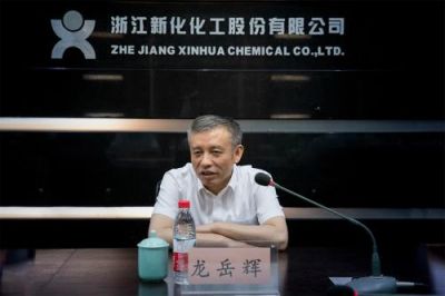 省税务局党委书记、副局长龙岳辉莅临公司调研